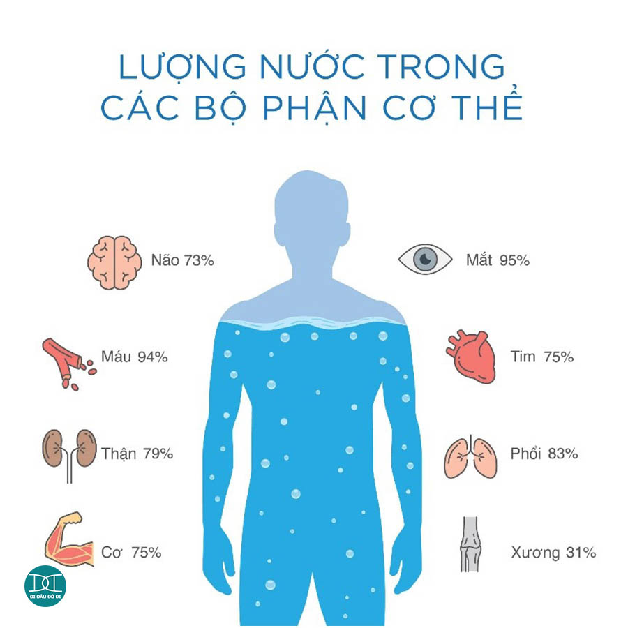 10 Cách phòng tránh việc cơ thể mất nước