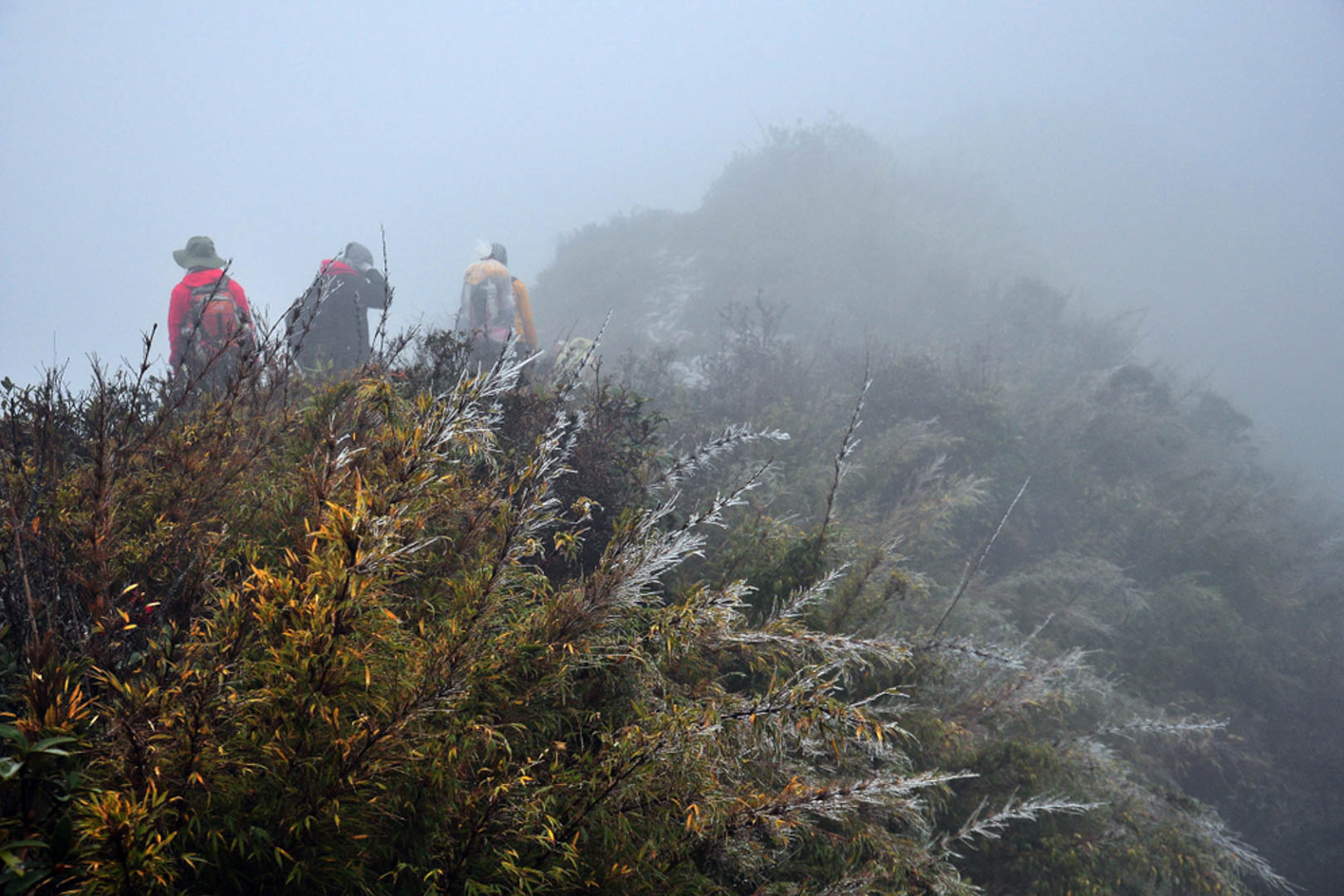 Trekking Bạch Mộc Lương Tử (Kỳ Quan San) có gì?