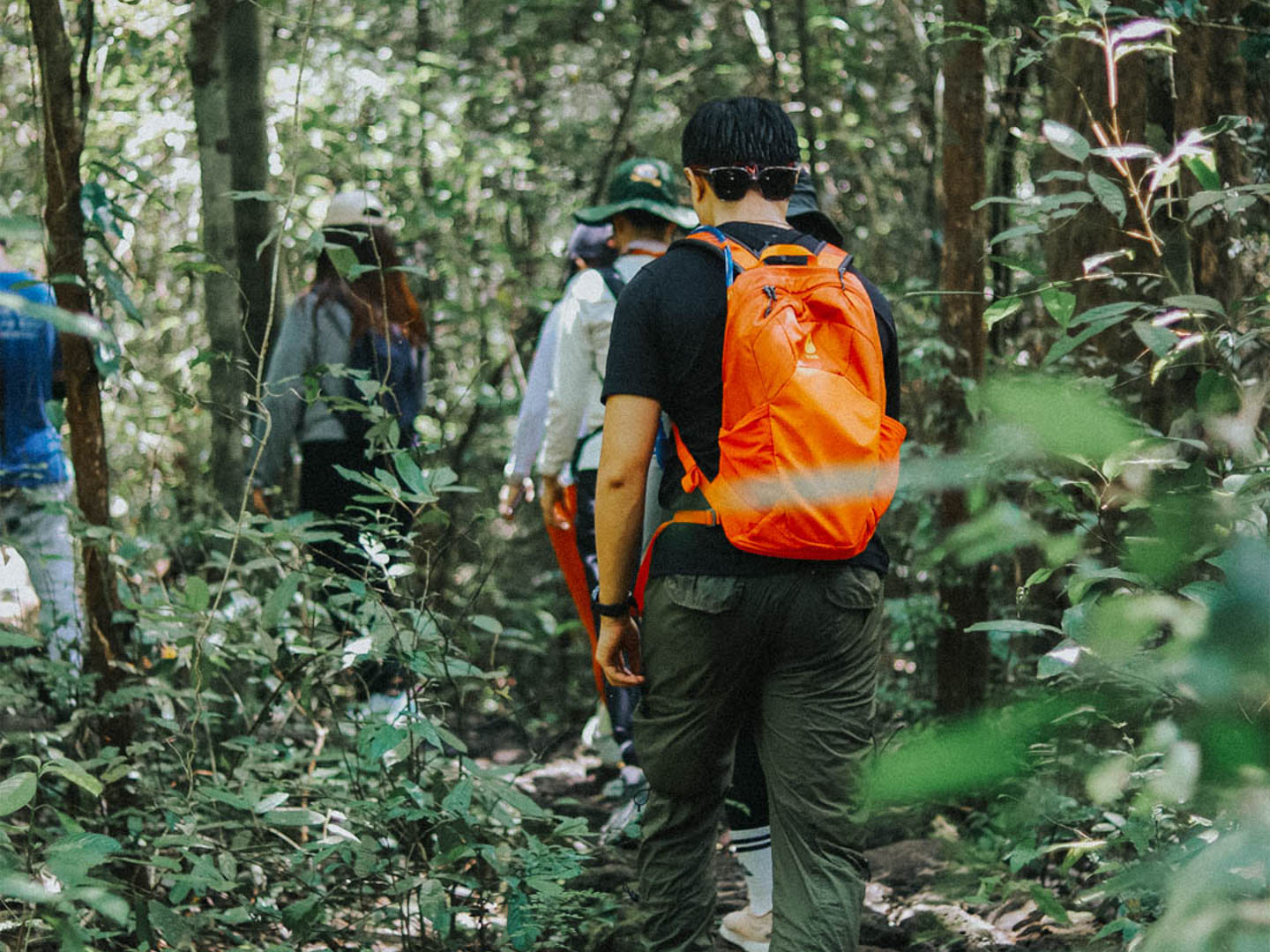 Leo núi trong ngày tại Nam Cát Tiên